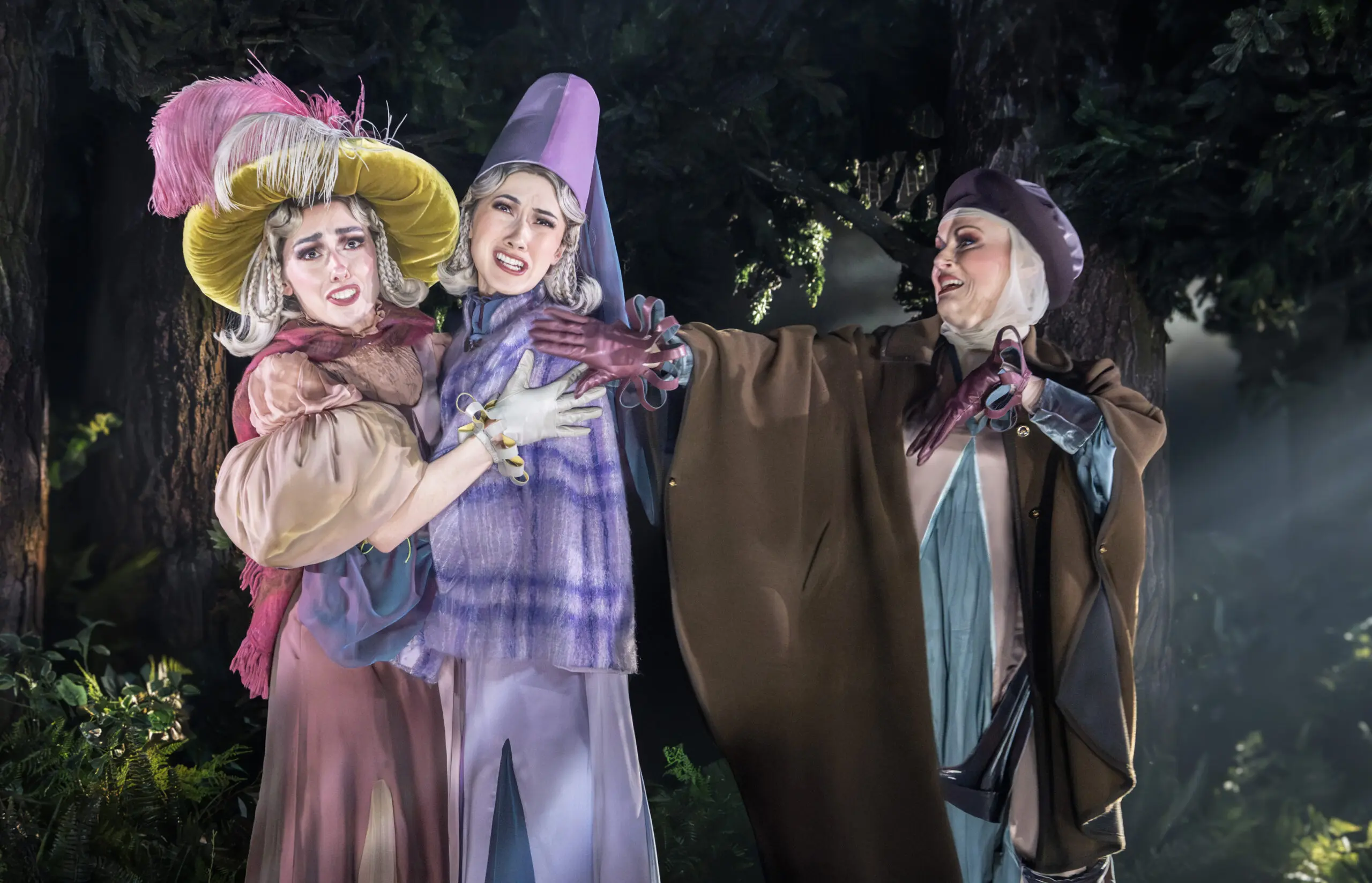 into the woods cast