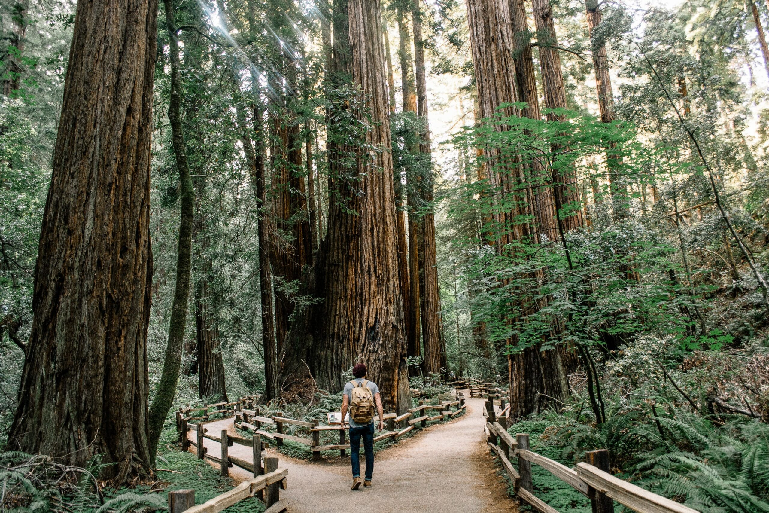 Powerful Pause Meditation: Choice