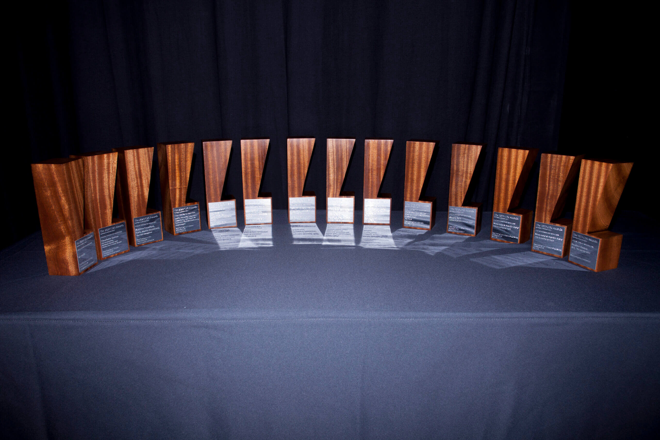 CDG Casting Award trophies displayed on a table