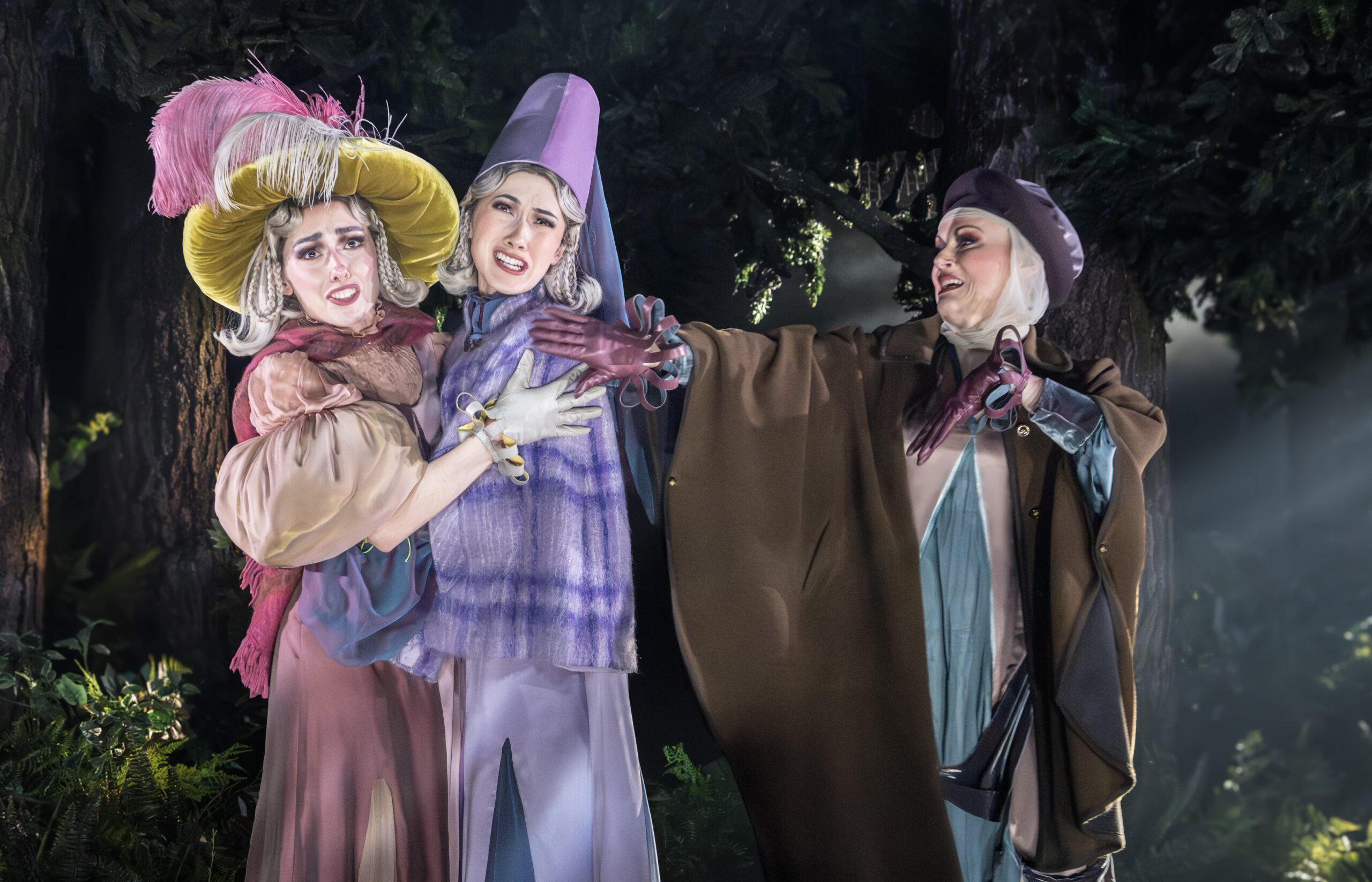 into the woods cast